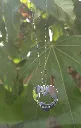 20260802_114116.webp