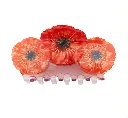 Pince à cheveux XL Coquelicots Coucou Suzette avec dents en acétate – vue produit.webp