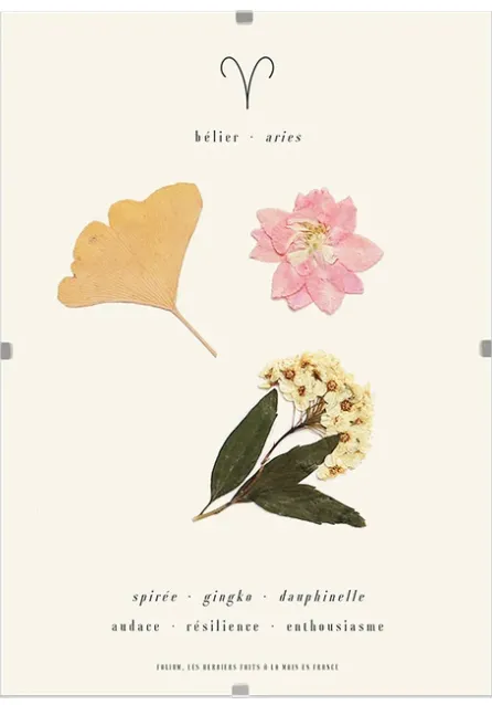 herbier-astro-belier-folium.webp