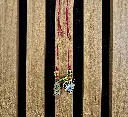 20250722_164223.webp
