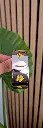 20250723_131250.webp