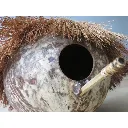 Nichoir noix de coco fait main.webp