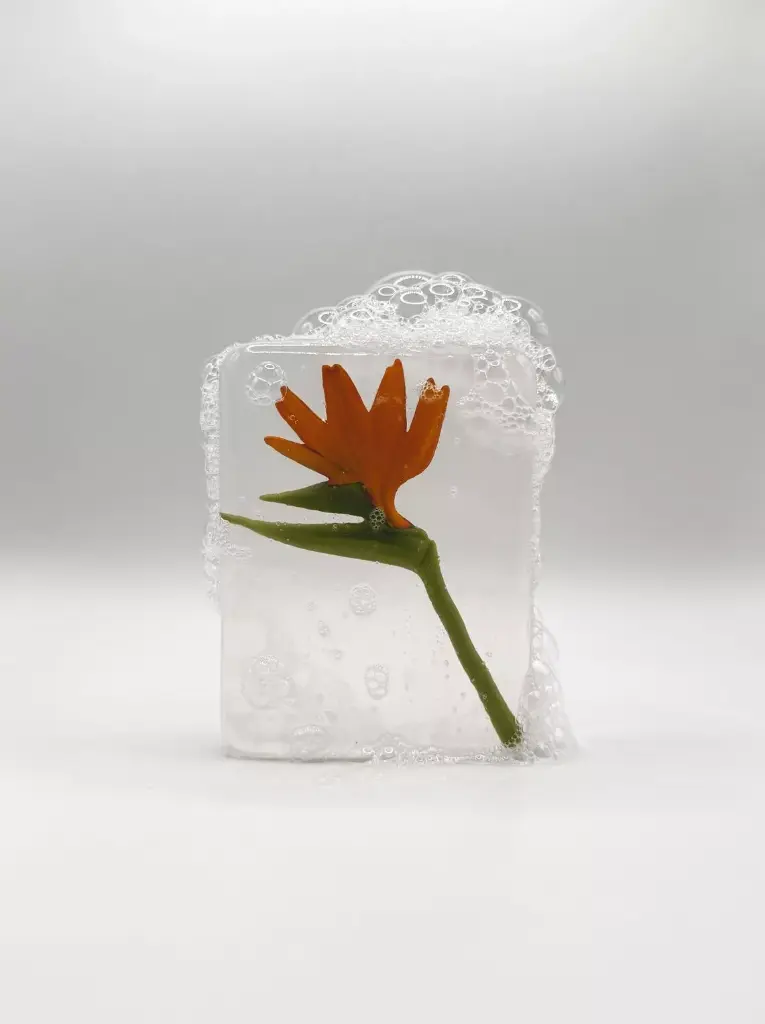 Savon Artisanal avec Figurine "Oiseau de Paradis"