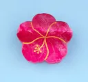 Pince à cheveux Hibiscus