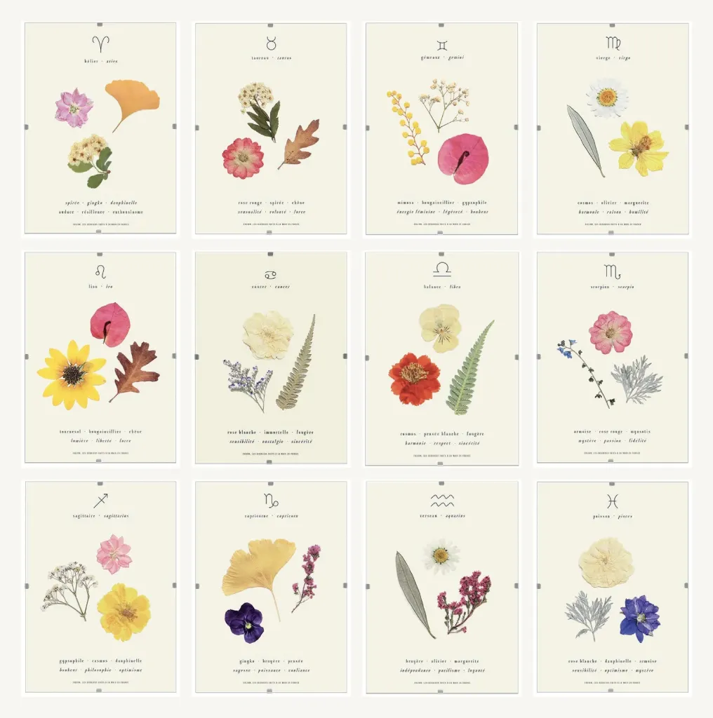 Herbier Astro – Fleurs séchées sous verre – Folium