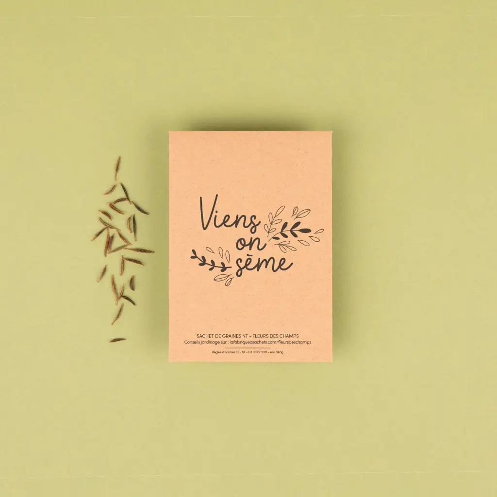 Sachet de graines de Fleurs des champs "Viens on sème"