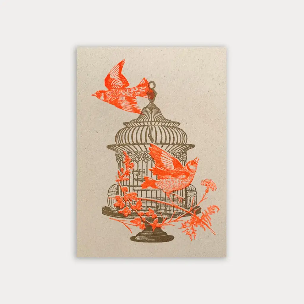 Carte postale - Cage à oiseaux 