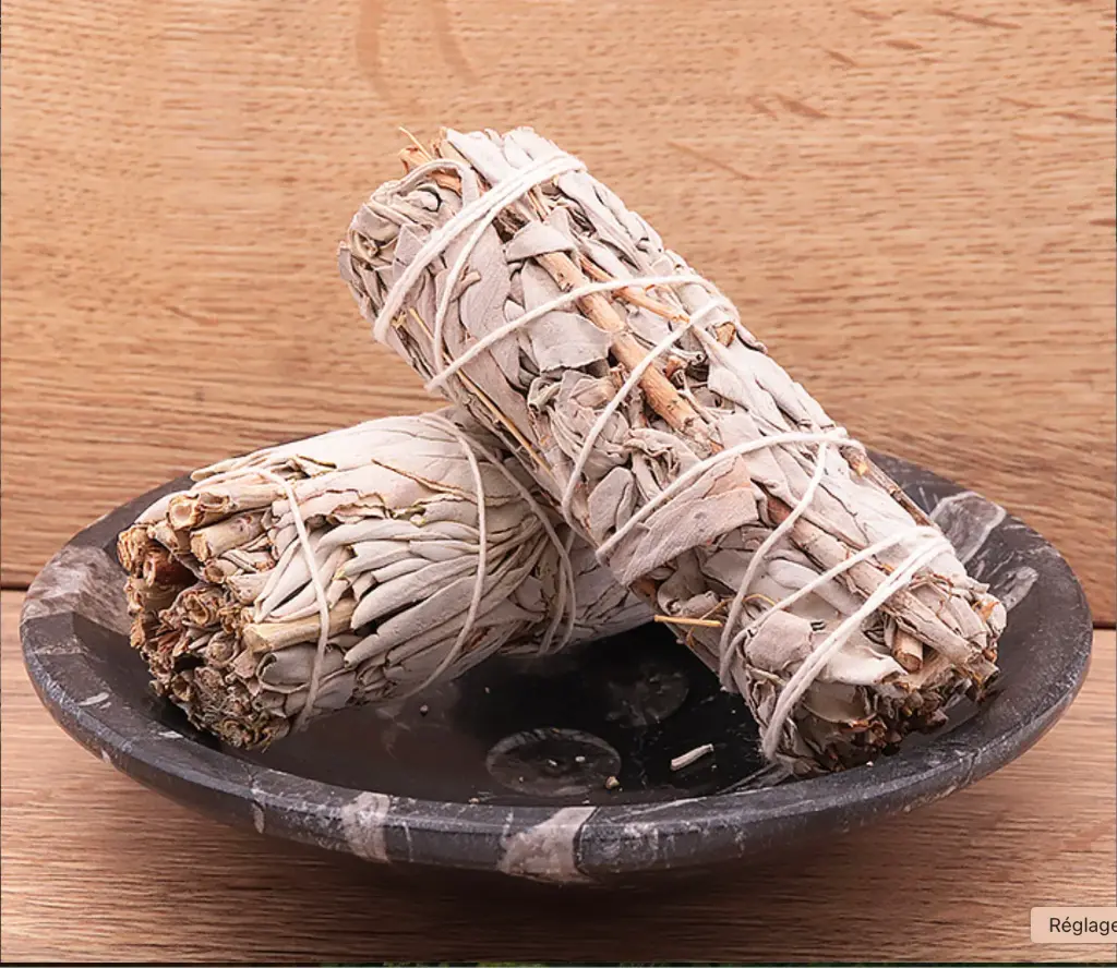 [BESAUGBLAN] Sauge blanche 100 MM