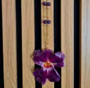 Collier «Orchidée Royale » 