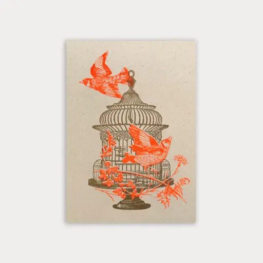 [PAPCAROIS] Carte postale - Cage à oiseaux 