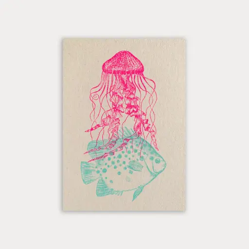 [PAPCARMED] Carte postale - Méduse et poisson